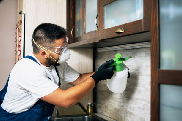 Best Best Pest Control Companies  in Ansonia, OH
