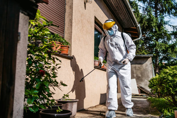 Best Cockroach Control Services  in Ansonia, OH