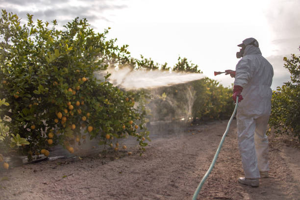 Best Bed Bug Extermination  in Ansonia, OH