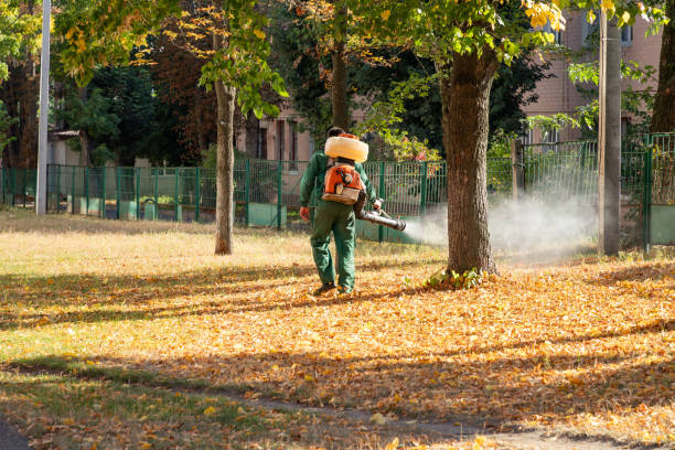 Professional Pest Control in Ansonia, OH
