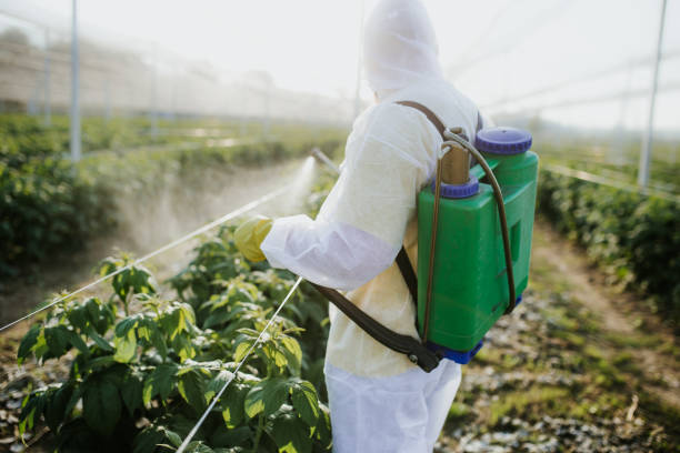 Best Pest Removal Services  in Ansonia, OH